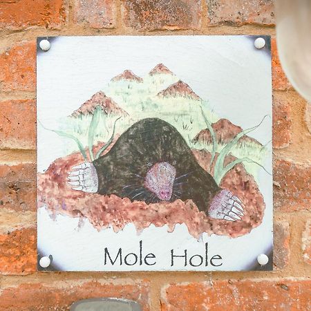 托斯特Mole Hole公寓 外观 照片