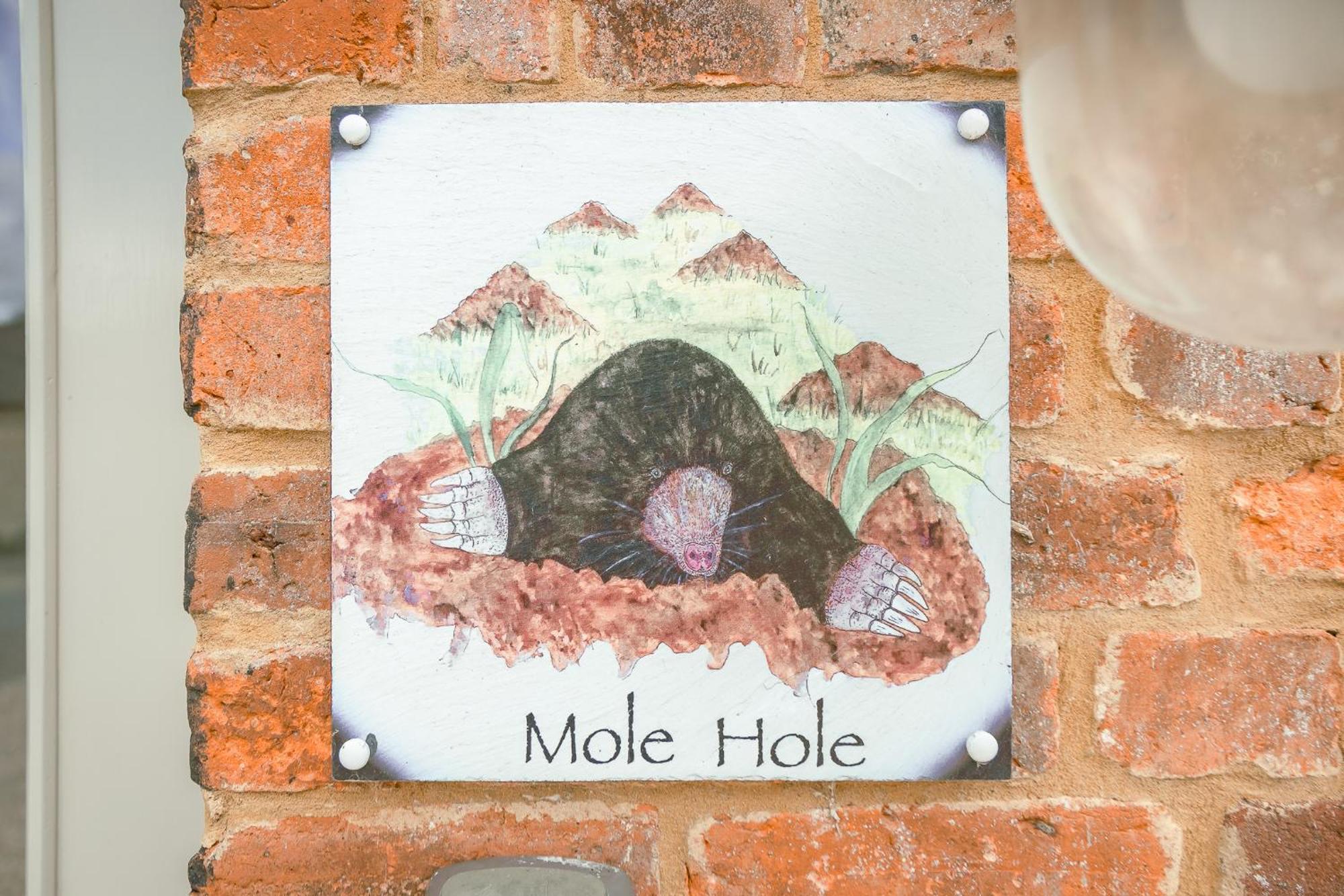 托斯特Mole Hole公寓 外观 照片